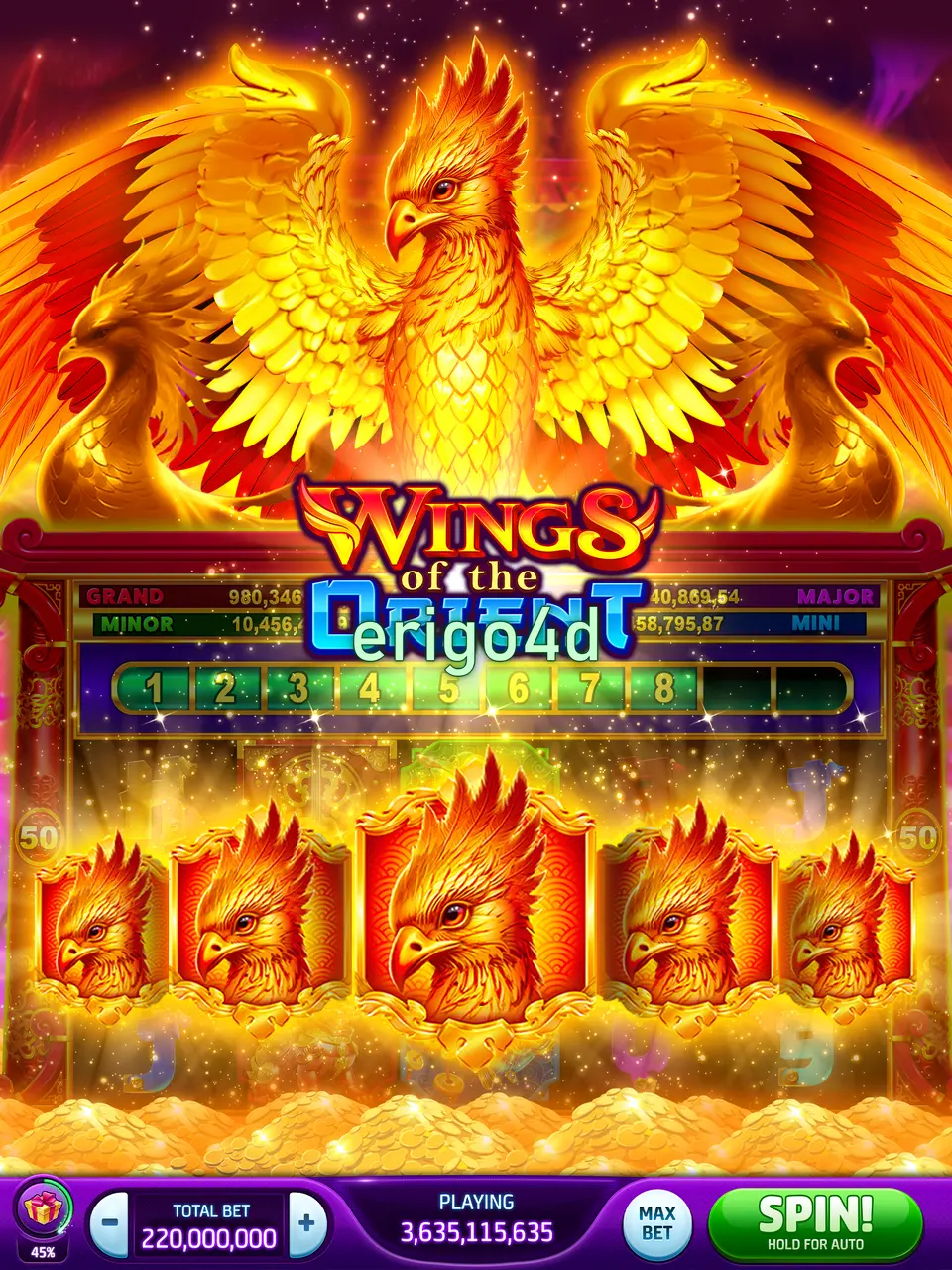 erigo4d APK